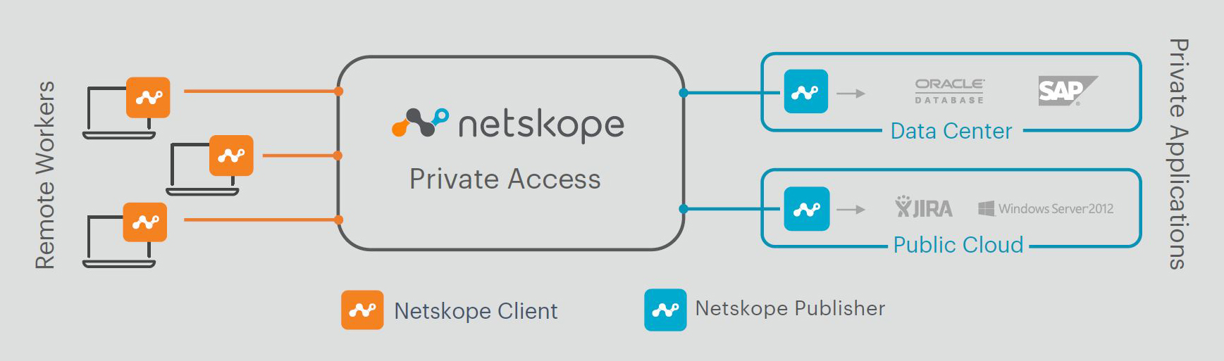 netskope remote access